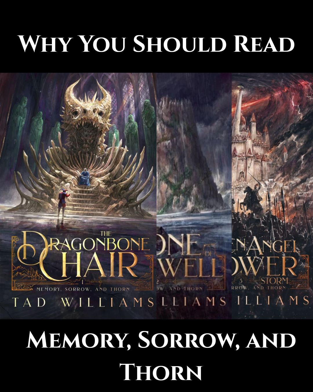Why You Should Read: Memory, Sorrow, and Thorn